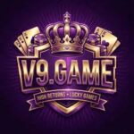 V9 Game