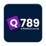 Q789 Game
